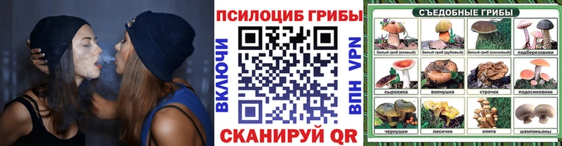Купить где Бикин Галлюциногенные грибы MAGIC MUSHROOMS